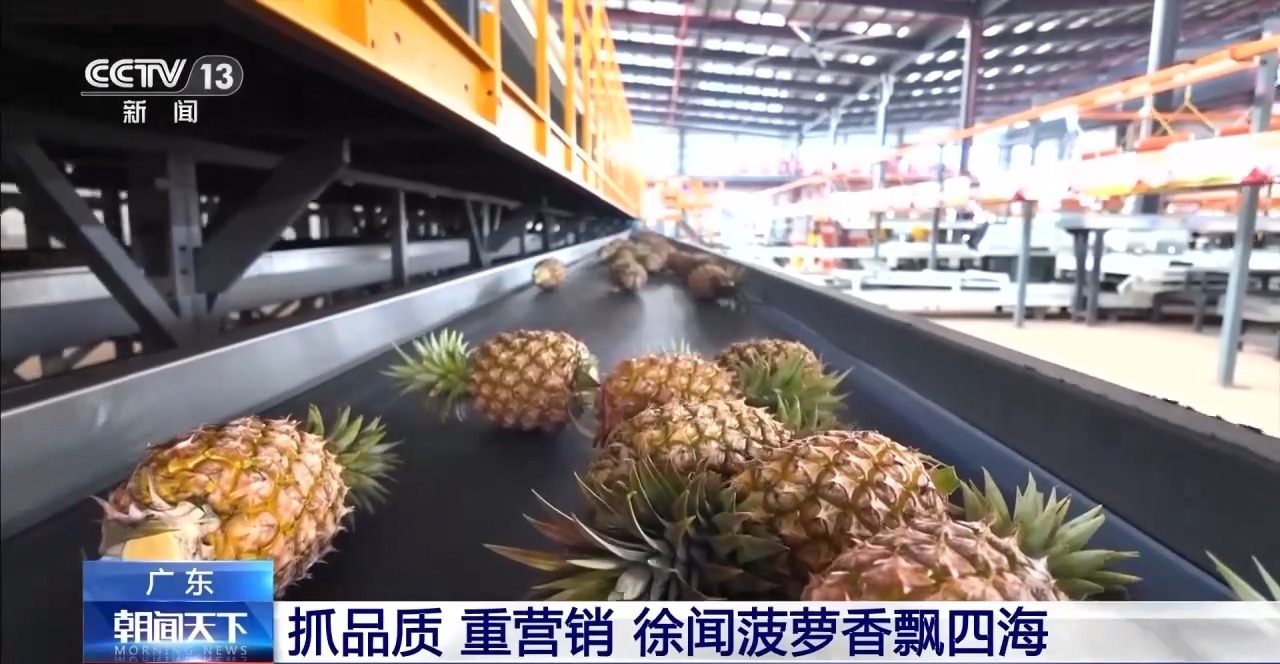 南粤之窗丨水果大省的“新出路” 