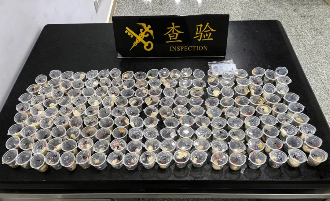 170只吸血鬼蟹“组团”进境，被海关一网打尽