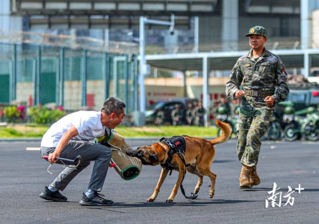 珠海这支部队啥来头？为啥被称作“红色前哨连”？