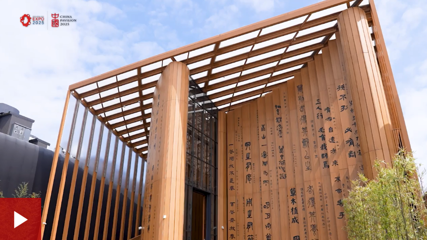 大阪世博会——两国青年开启一场跨文化对话之旅