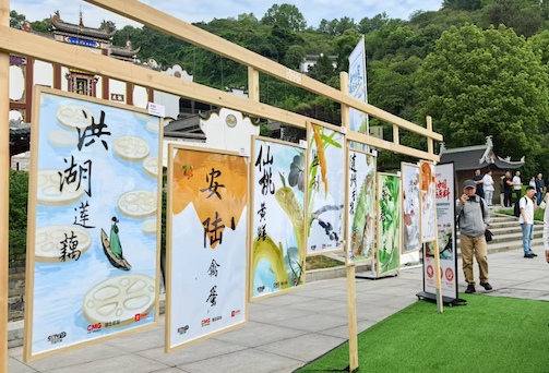 湖北七县市联合探索优质农产品“出圈”