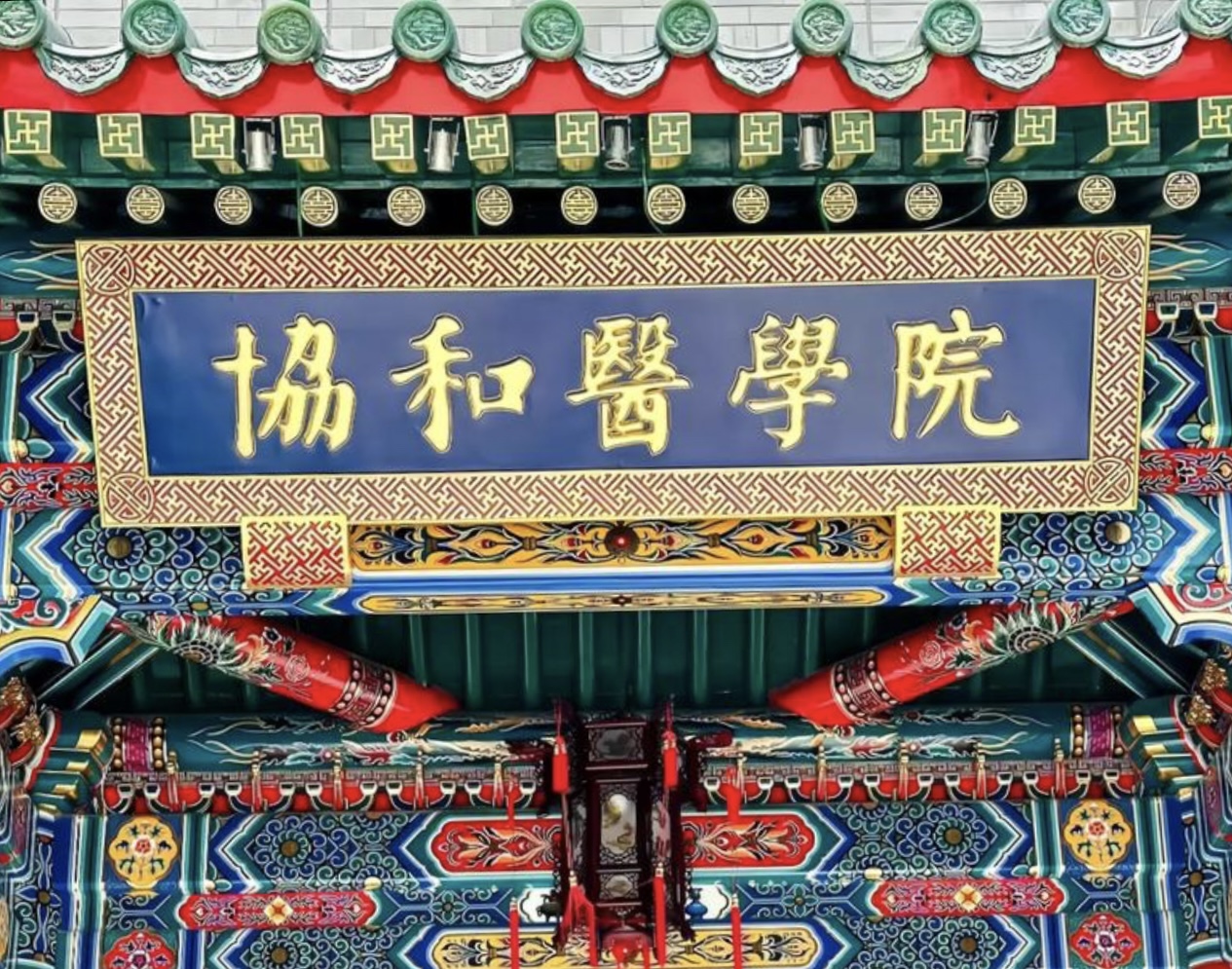 “4+4”资源为何挤破头？普通医学生培养时间能合理缩短吗