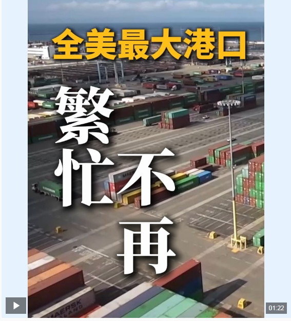 视频丨关税“恶果”显现 全美最大港口繁忙不再