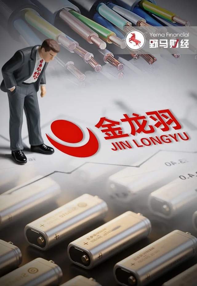 百亿金龙羽涉嫌信披违规，新董秘上任才8天！