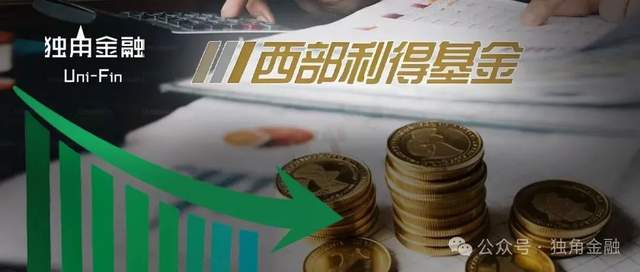 西部利得“独苗”FOF清盘，两位初出茅庐基金经理“折戟”
