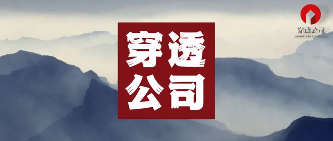 一家全国大型房地产集团董事长，被法院限制消费了